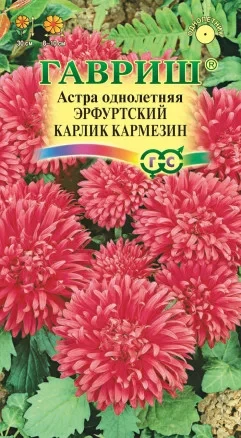 Астра однолетняя Эрфуртский Карлик Кармезин цв.п 0,3гр, Гавриш