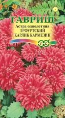 Астра однолетняя Эрфуртский Карлик Кармезин цв.п 0,3гр, Гавриш