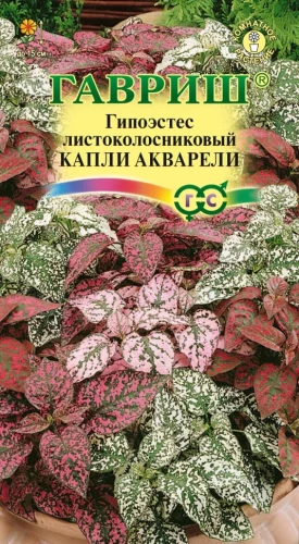 Гипоэстес Капли цв.п Гавриш