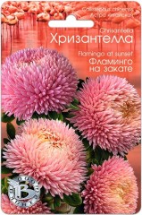 Хризантелла - Астра китайская Фламинго На Закате цв.п 30шт Биотехника