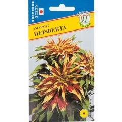 Амарант Перфекта цв.п 25шт Престиж