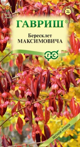 Бересклет Максимовича цв.п 0,2гр Гавриш