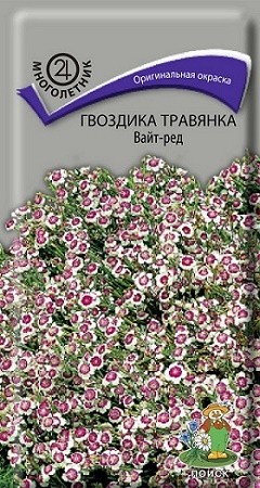 Гвоздика Травянка Вайт-Ред цв.п 0,1гр Поиск