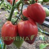 Томат Сердце Италии цв.п 10шт Медведев