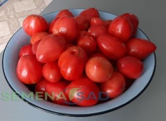 Томат Сердце Италии цв.п 10шт Медведев