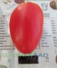 Томат Сердце Италии цв.п 10шт Медведев