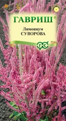 Лимониум Суворова (кермек, статица) цв.п 0,01гр Гавриш
