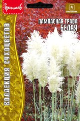 Пампасная Трава Белая (Кортадерия) цв.п 0,01гр ИП Григорьев