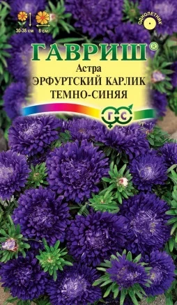 Астра однолетняя Эрфуртский Карлик Тёмно-Синяя цв.п 0,3гр, Гавриш