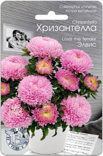 Хризантелла - Астра китайская Элвис цв.п 30шт Биотехника