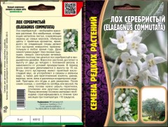 Лох серебристый (Elaeagnus commutata) цв.п 5шт ИП Григорьев
