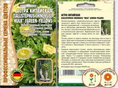 Астра Hulk (green-yellow) китайская цв.п 5шт ИП Григорьев