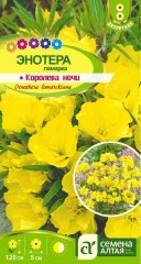 Энотера Ламарка Королева Ночи цв.п 0,3гр Семена Алтая