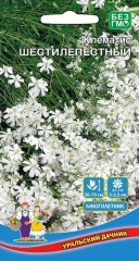 Клематис Шестилепестный цв.п 10шт Уральский Дачник