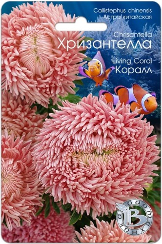Хризантелла - Астра китайская Коралл цв.п 30шт Биотехника