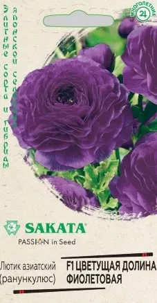 Ранункулюс (Лютик азиатский) Цветущая Долина Фиолетовая F1 цв.п 3шт Sakata Гавриш