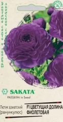 Ранункулюс (Лютик азиатский) Цветущая Долина Фиолетовая F1 цв.п 3шт Sakata Гавриш