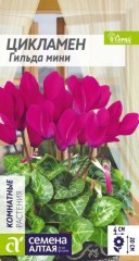 Цикламен персидский Гильда мини цв.п 3шт Семена Алтая