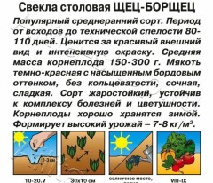 Свёкла Щец-Борщец цв.п 3гр Аэлита