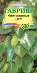 Фикус Священный Эдем цв.п. 0.03гр Гавриш