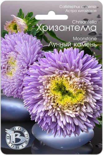 Хризантелла - Астра китайская Лунный Камень цв.п 30шт Биотехника