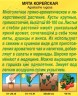 Мята Корейская цв.п 0,05гр Аэлита