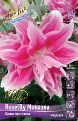 Лилия Roselily Микаэла Лилия восточная махровая Colorline