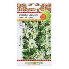 Эуфорбия Снег На Горе маргината цв.п 0,5гр НК Русский Огород