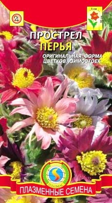 Прострел Перья Яркая Смесь цв.п 10шт Пласменные Семена
