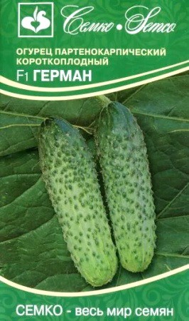 Огурец Герман F1 цв.п 5шт Семко