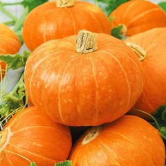 Тыква Конфетка цв.п 5шт Сибирский Сад