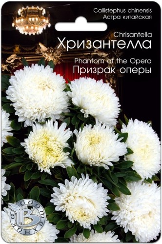 Хризантелла - Астра китайская Призрак Оперы цв.п 30шт Биотехника