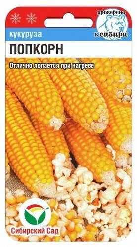 Кукуруза Попкорн цв.п. 10шт Сибирский Сад