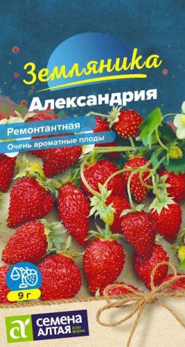 Земляника Александрия цв.п 0,05гр Семена Алтая
