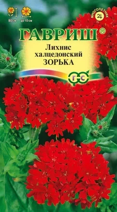 Лихнис Халцедонский Зорька цв.п 0,1гр Гавриш