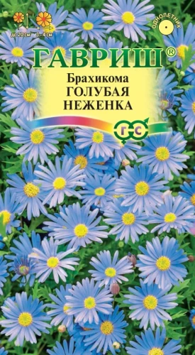 Брахикома Голубая Неженка цв.п 0,02гр. Гавриш