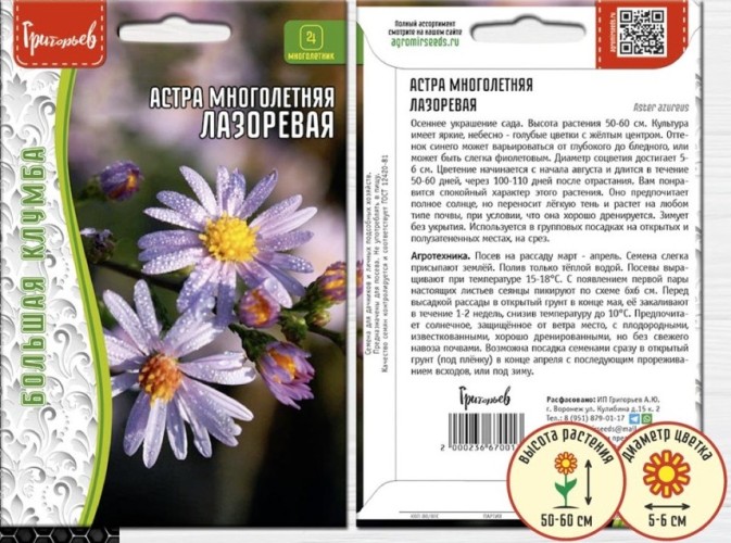 Астра Лазоревая многолетняя цв.п 20шт ИП Григорьев