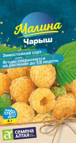 Малина Чарыш жёлтая цв.п 0,3гр Семена Алтая