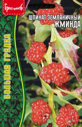 Шпинат Жминда земляничный цв.п 0,1гр ИП Григорьев