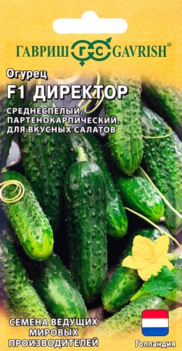Огурец Директор F1 цв.п 5шт Гавриш